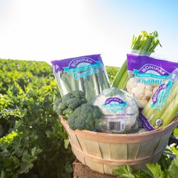 Bonipak Produce