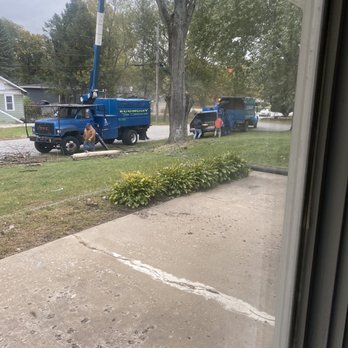 Economy Tree Service - Before/During - Tree Services Near Me - Gary, Indiana Economy Tree Service - Before/During - Tree Services Near Me - Gary, Indiana
