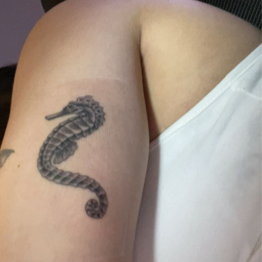 Classic Tattoo - Seahorse - Tattoo Near Me - Fullerton, California Classic Tattoo - Seahorse - Tattoo Near Me - Fullerton, California