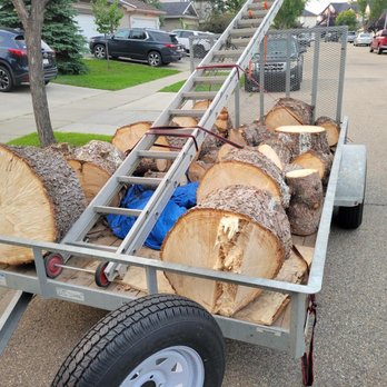 Kowal Indus Trees - Proudly serving the area of alberta, British Columbia and Saskatchewan. Call +17802434183 - Tree Services Near Me Kowal Indus Trees - Proudly serving the area of alberta, British Columbia and Saskatchewan. Call +17802434183 - Tree Services Near Me