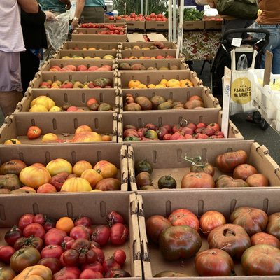 The Sebastopol Farmers' Market by null