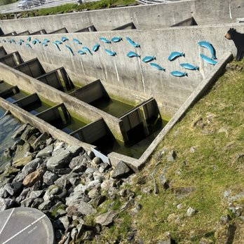 DIPAC/Macaulay Salmon Hatchery - Tours Near Me - Juneau, Alaska DIPAC/Macaulay Salmon Hatchery - Tours Near Me - Juneau, Alaska