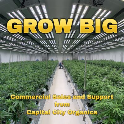 Capital City Organics by null