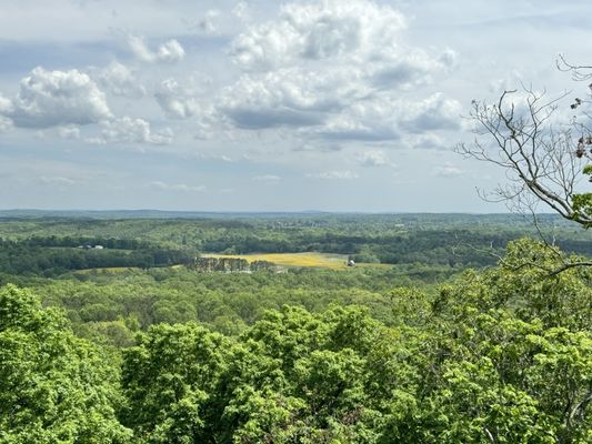Shawnee National Forest by null