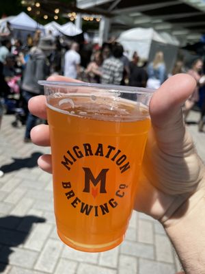 Migration Brewing - Glisan by null