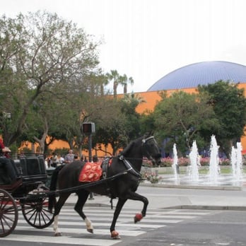Hackney Horse and Carriage - We also have carriages for your Vidaai! Three colors to choose from. - Event Planning & Services Near Me Hackney Horse and Carriage - We also have carriages for your Vidaai! Three colors to choose from. - Event Planning & Services Near Me