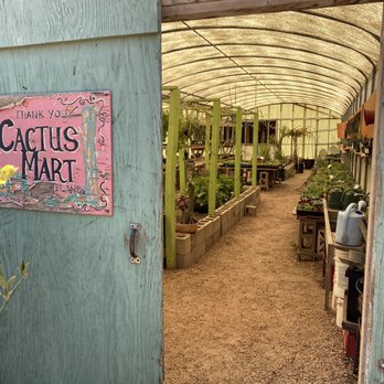 Cactus Mart - Inside - Nurseries & Gardening Near Me - Morongo Valley, California