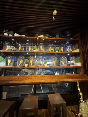 T-swirl Crepe - Astoria by null