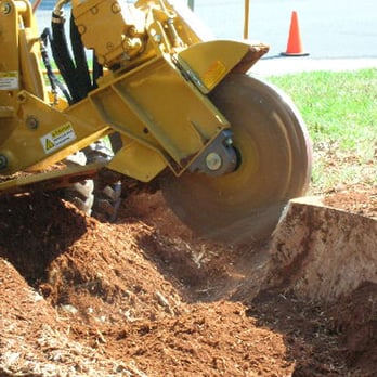 Accurate Tree Service - Stump Removal - Landscaping Near Me - Hooksett, New Hampshire