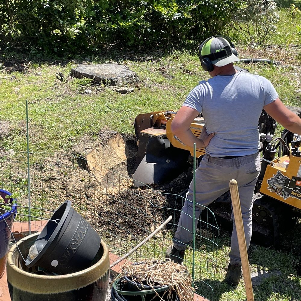 Tree stump removal
