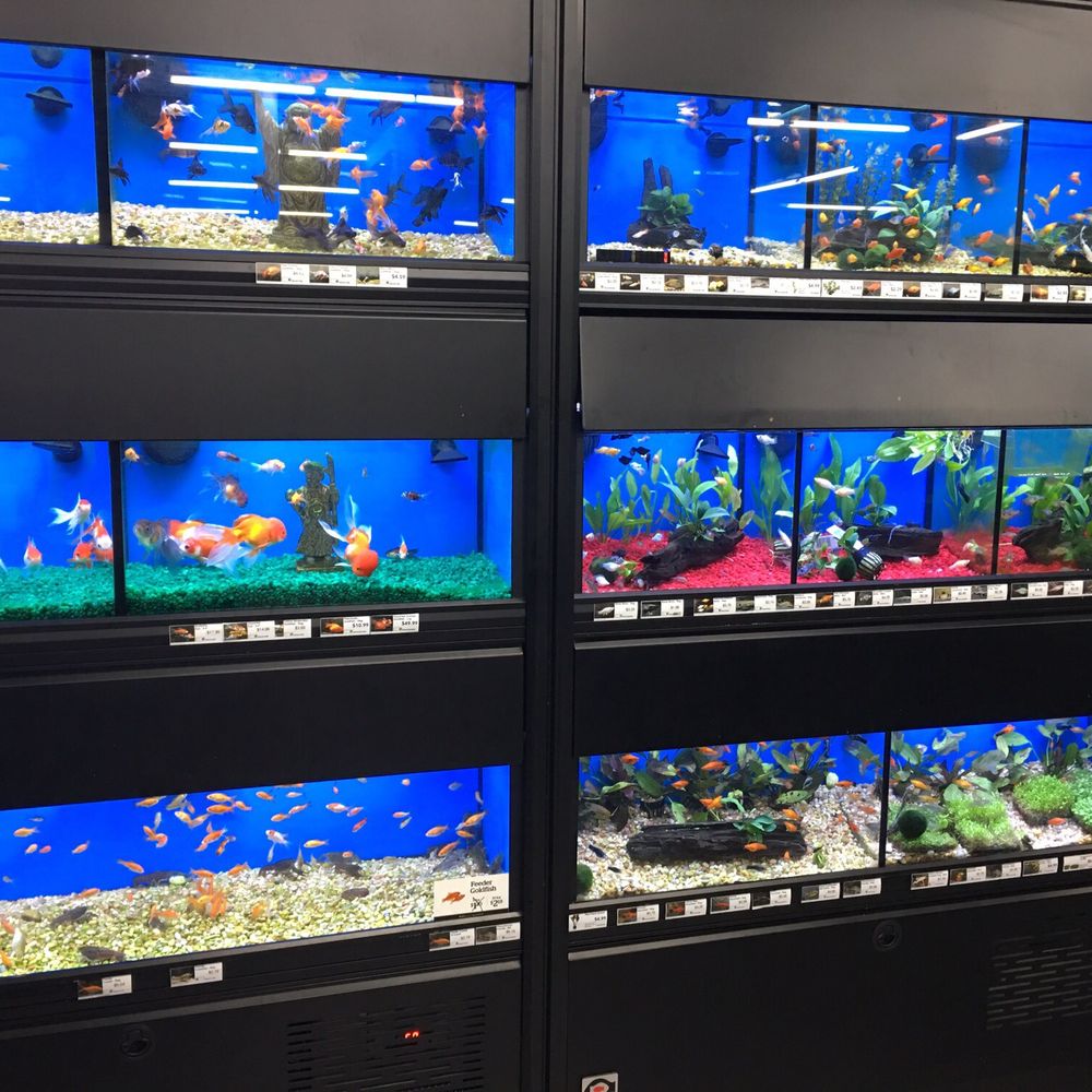 Pet Supermarket - Fish! - Pet Groomers Near Me - Greenville, South Carolina Pet Supermarket - Fish! - Pet Groomers Near Me - Greenville, South Carolina
