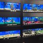 Photo of Pet Supermarket