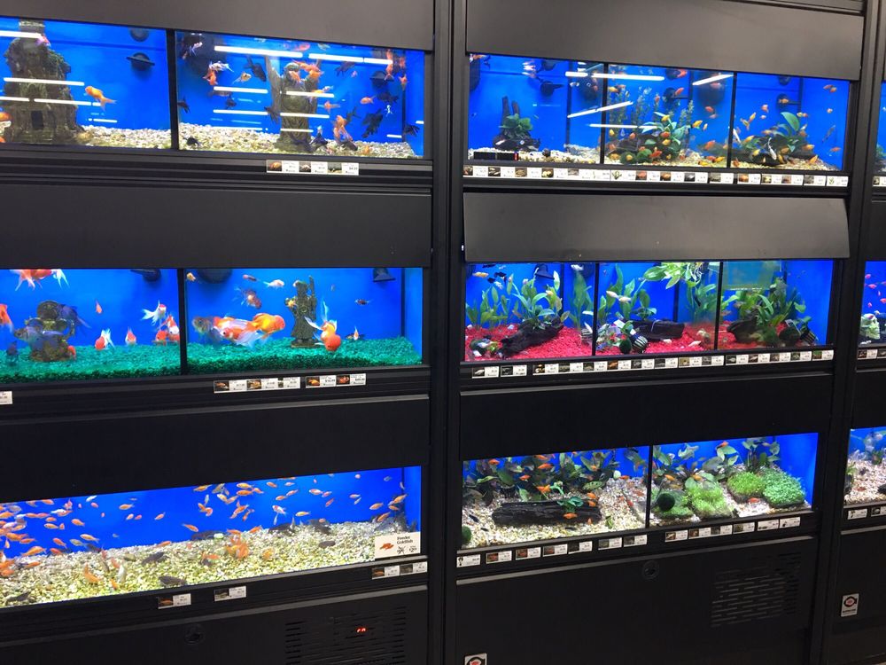 Pet Supermarket Image