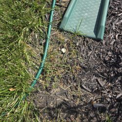 ExperiGreen Lawn Care