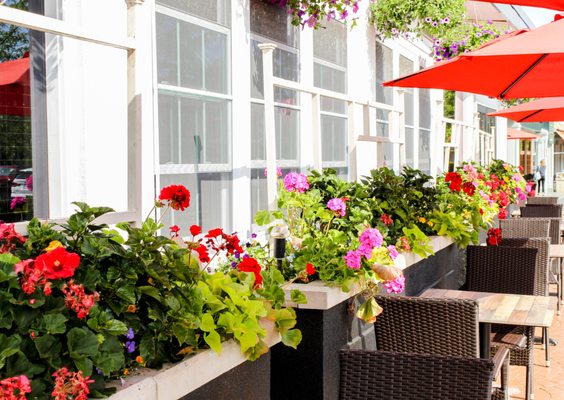 The Happ Inn Bar & Grill by null