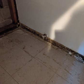 Haven Brook Homes - Water damage - Property Management Near Me - Duluth, Georgia