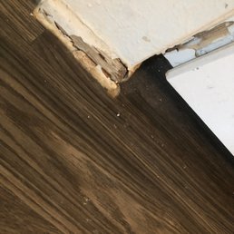 Holes in walls/floors