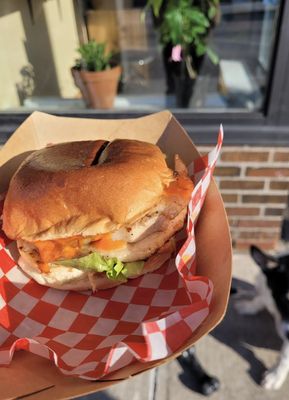 DAM Sandwiches by null