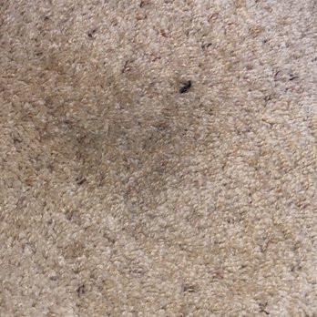 MacDonald Carpet Cleaning - Carpet Cleaning Near Me - Lake Elsinore, California MacDonald Carpet Cleaning - Carpet Cleaning Near Me - Lake Elsinore, California