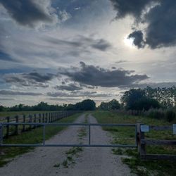 Hal Scott Preserve