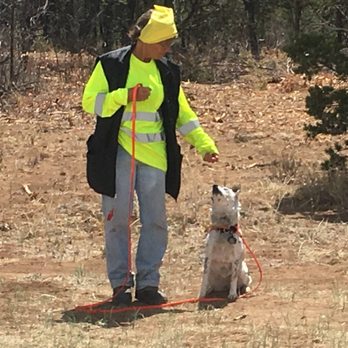 Gaia Richards - Gaia and Spirit at Team Training SAR practice, East Mountains, NM - Pet Training Near Me