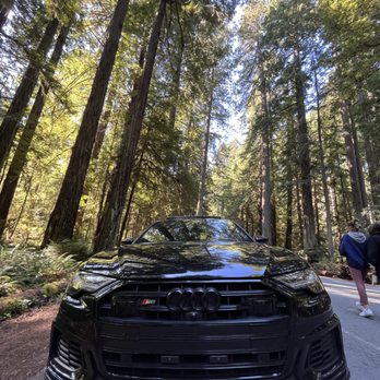 Landmark Motors - Used Car Dealers Near Me - Bellevue, Washington Landmark Motors - Used Car Dealers Near Me - Bellevue, Washington
