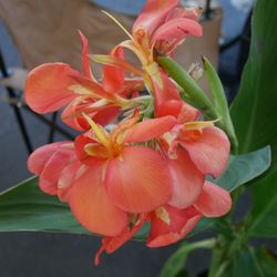 Biloxi Farmers Market
