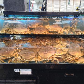 H Mart - San Francisco - Plenty of live crabs - Grocery Near Me - San Francisco, California H Mart - San Francisco - Plenty of live crabs - Grocery Near Me - San Francisco, California