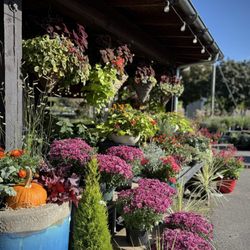 Cornell Farm