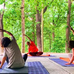 Dot Yoga