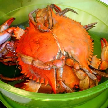 Crawfish Shack Seafood - crabs! - Seafood Near Me - Atlanta, Georgia Crawfish Shack Seafood - crabs! - Seafood Near Me - Atlanta, Georgia