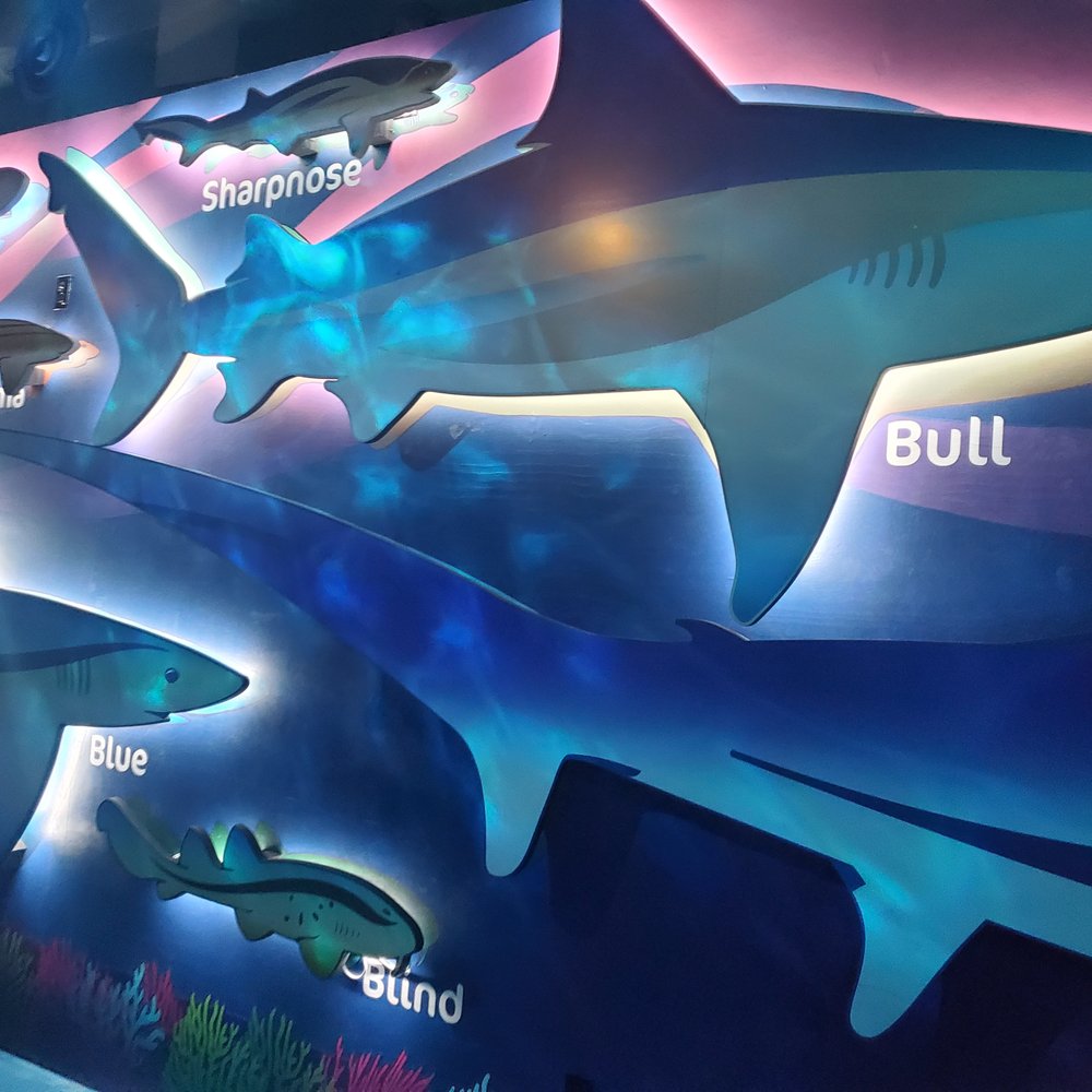 Shark Encounter - Aquariums Near Me - Orlando, Florida