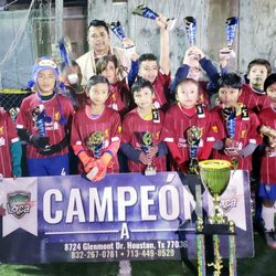 Canchas La Pulga Loca