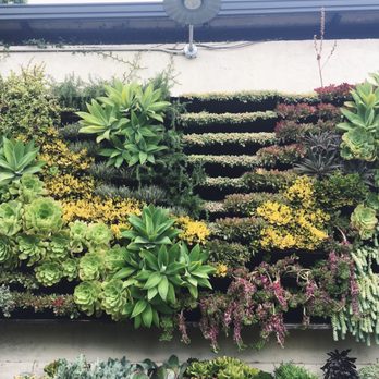 Rolling Greens - Wall full of goodness - Home Decor Near Me - Los Angeles, California Rolling Greens - Wall full of goodness - Home Decor Near Me - Los Angeles, California
