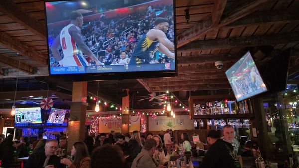 The Blind Burro by null