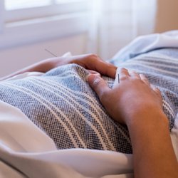 Blue Heron Acupuncture and Apothecary - We offer comprehensive wellness services, including acupuncture, massage, herbal medicine, nutrition coaching, and lifestyle advice.