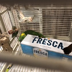 Boot Road Veterinary Clinic - Freddie the bird was so cute when I said her name she came right out of her box