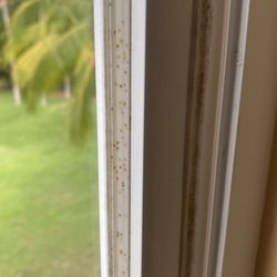 Club Med Ixtapa - Mold !!