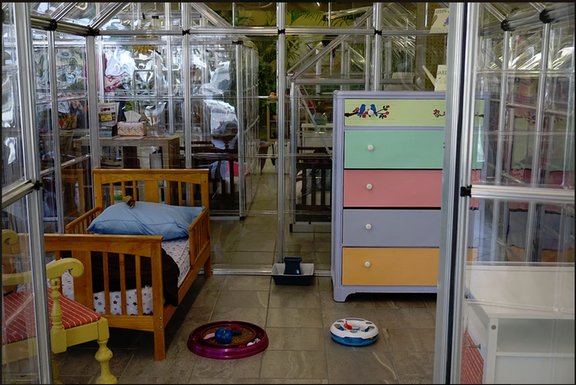 The Cat's Meow by null