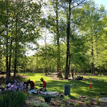 Truetimber Arborists - Tree Services Near Me - Richmond, Virginia Truetimber Arborists - Tree Services Near Me - Richmond, Virginia