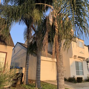 JS Tree Care - The trees that were cut - Tree Services Near Me - Hesperia, California JS Tree Care - The trees that were cut - Tree Services Near Me - Hesperia, California