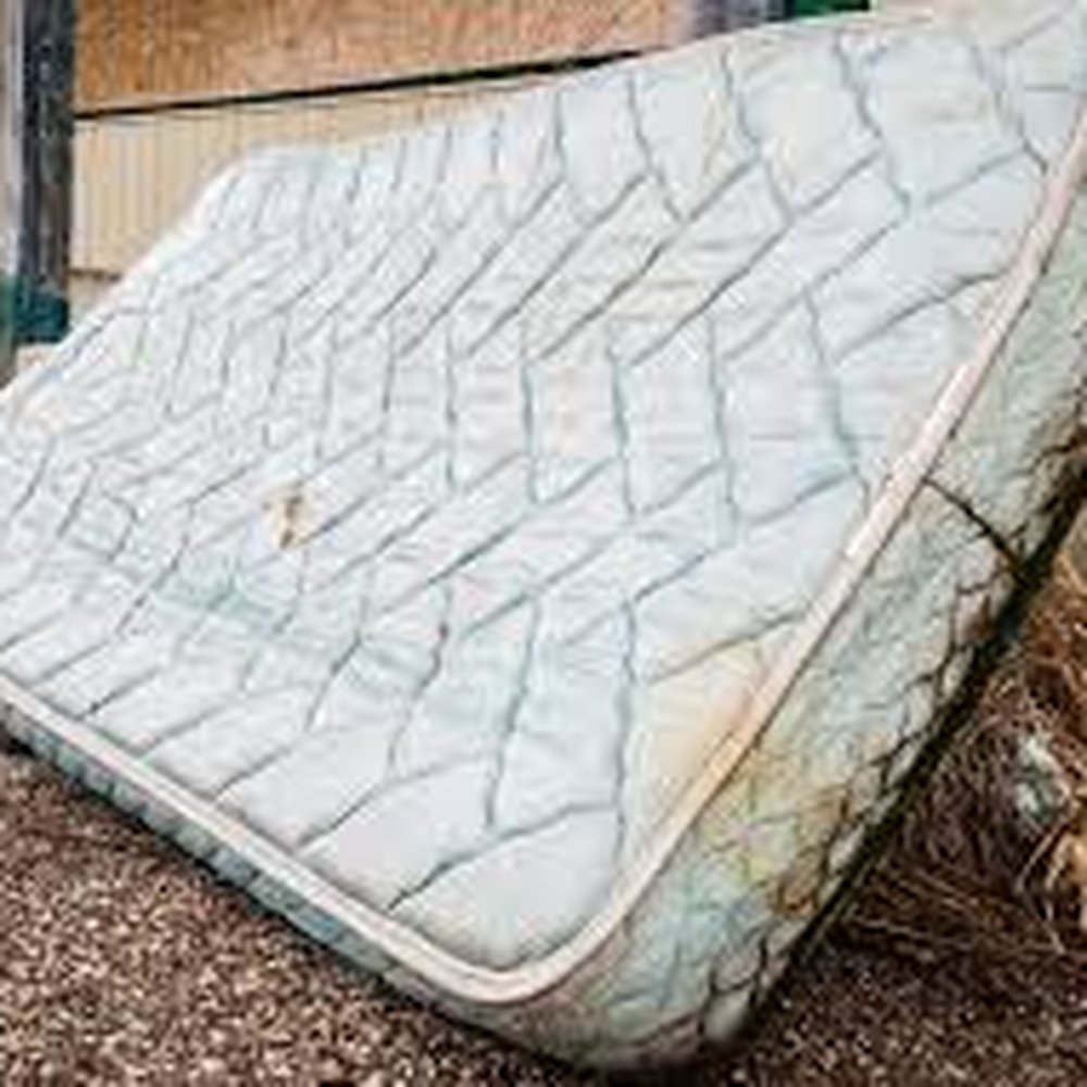 Funny and Gross Bed Tag Moments | TikTok, image size:1000x1000