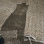 Photo of Stainmasters Carpet Cleaning and Restoration