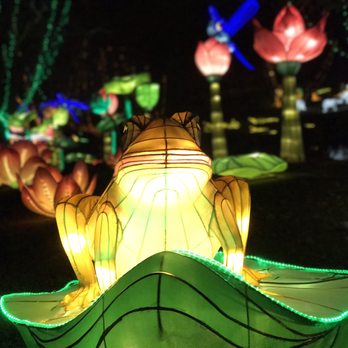 Chinese Lantern Festival - Ribbit ribbit - Festivals Near Me - Vienna, Virginia Chinese Lantern Festival - Ribbit ribbit - Festivals Near Me - Vienna, Virginia