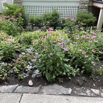 Bowmanville Garden Walk - This home wasn't even on the garden walk! - Community Gardens Near Me - Chicago, Illinois