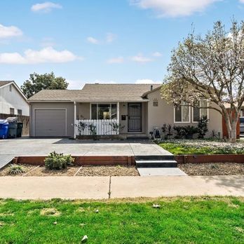 Quinones Tree Service - Before driveway extension & untrimmed tree. - Tree Services Near Me Quinones Tree Service - Before driveway extension & untrimmed tree. - Tree Services Near Me