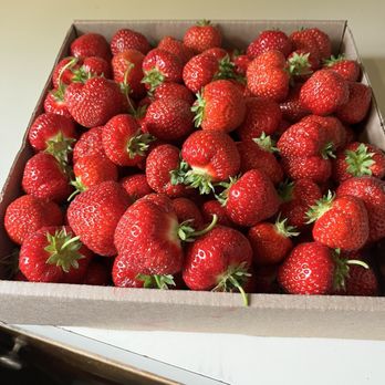Farms View Roadstand - Look how incredibly red these berries are! They taste better than they look! - Farmers Market Near Me - Wayne, New Jersey