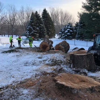 JCE Tree Service - Tree Services Near Me - River Falls, Wisconsin JCE Tree Service - Tree Services Near Me - River Falls, Wisconsin