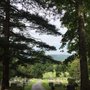 Photo of Lake View Cemetery