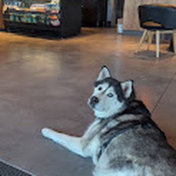 Starbucks - the floor is clean, and there's a ton of space inside. very quiet during the mornings because this Starbucks is tucked away in a nice town. - Coffee & Tea Near Me - Cedar Hills, Utah